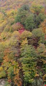 روستای پر کلا