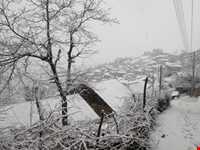 روستای پر کلا