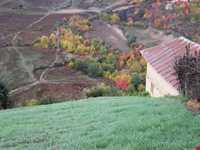 روستای پر کلا