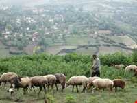 روستای پر کلا