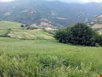 روستای قلعه قافه