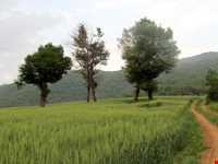 Mobarak abad village