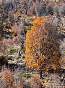 روستای درازنو