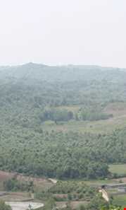 روستای سید ابو صالح