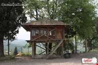 روستای سید ابو صالح