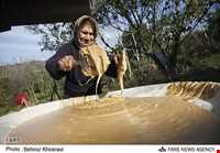 روستای سید ابو صالح