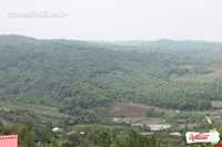 روستای سید ابو صالح