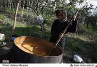 روستای سید ابو صالح