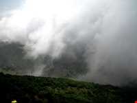 Abr Forests ( Cloud Forest )