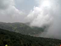 Abr Forests ( Cloud Forest )