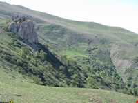 Abr Forests ( Cloud Forest )
