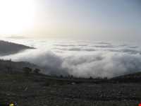 Abr Forests ( Cloud Forest )