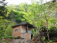 Abr Forests ( Cloud Forest )