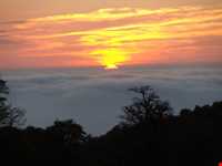 Abr Forests ( Cloud Forest )