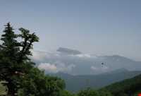 Abr Forests ( Cloud Forest )