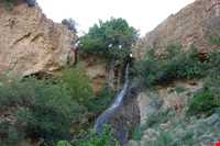 Abr Forests ( Cloud Forest )