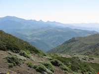 Abr Forests ( Cloud Forest )