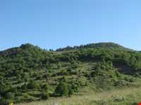 Abr Forests ( Cloud Forest )