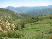 Abr Forests ( Cloud Forest )