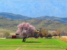 روستای هکان