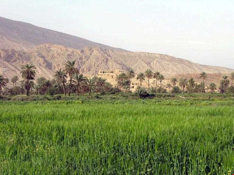 روستای هکان