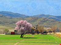 روستای هکان