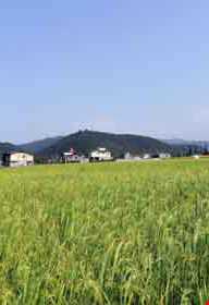 روستای قلعه گردن