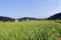 Ghaleh gardan village