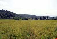 Ghaleh gardan village