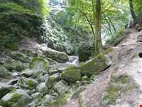 Shir abad forest park