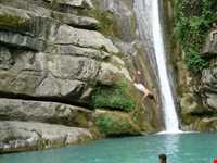 Shir abad forest park