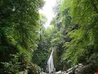 Shir abad forest park