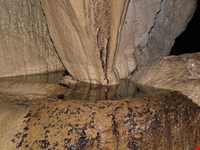 Shir abad forest park