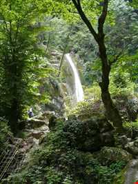 Shir abad forest park