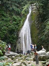 Shir abad forest park