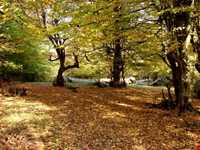 آبشارهای نومل