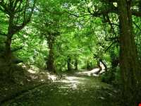 آبشارهای نومل