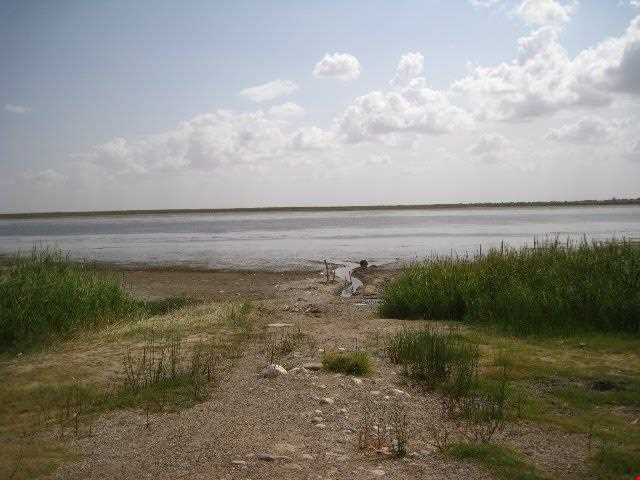Almagol Wetland