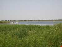 Almagol Wetland