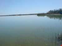 Almagol Wetland