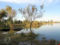 Almagol Wetland