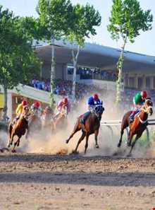 مجتمع سوار کاری گنبدکاووس