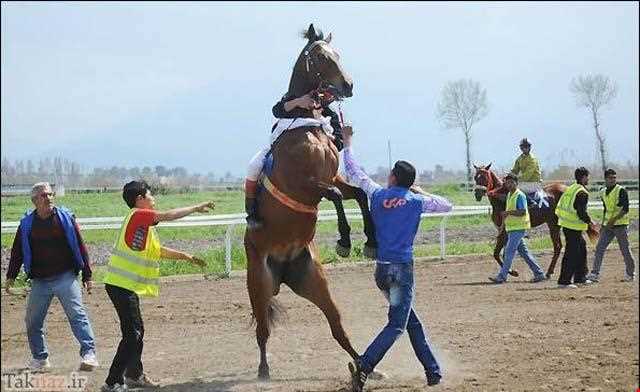 مجتمع سوار کاری گنبدکاووس