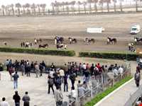 مجتمع سوار کاری گنبدکاووس