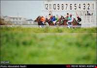 مجتمع سوار کاری گنبدکاووس