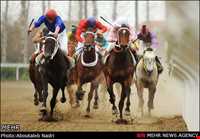 مجتمع سوار کاری گنبدکاووس