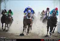 مجتمع سوار کاری گنبدکاووس