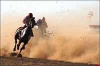 مجتمع سوار کاری گنبدکاووس