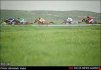 مجتمع سوار کاری گنبدکاووس