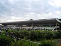 مجتمع سوار کاری گنبدکاووس